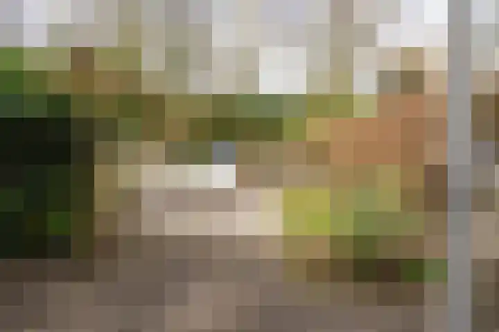 Tolick 77 Hoogland thumbnail 17
