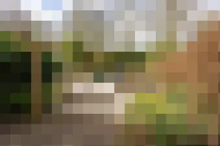 Tolick 77 Hoogland thumbnail 18