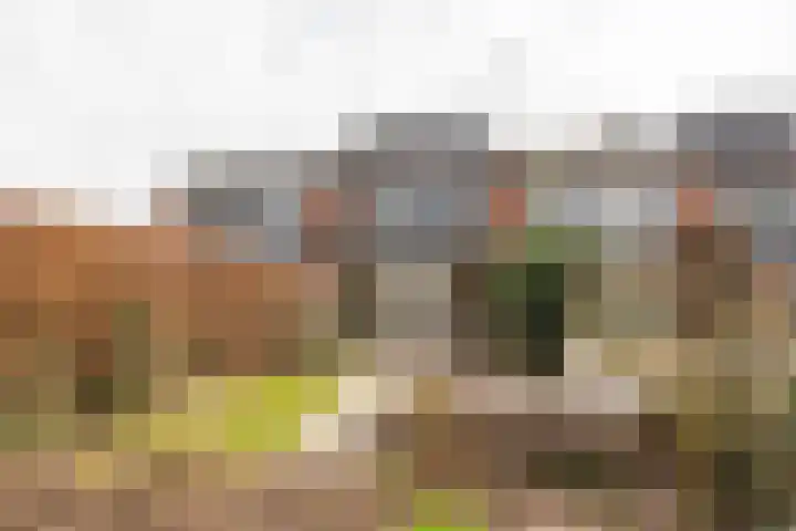 Tolick 77 Hoogland thumbnail 19