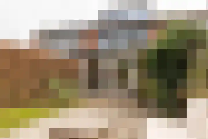 Tolick 77 Hoogland thumbnail 20
