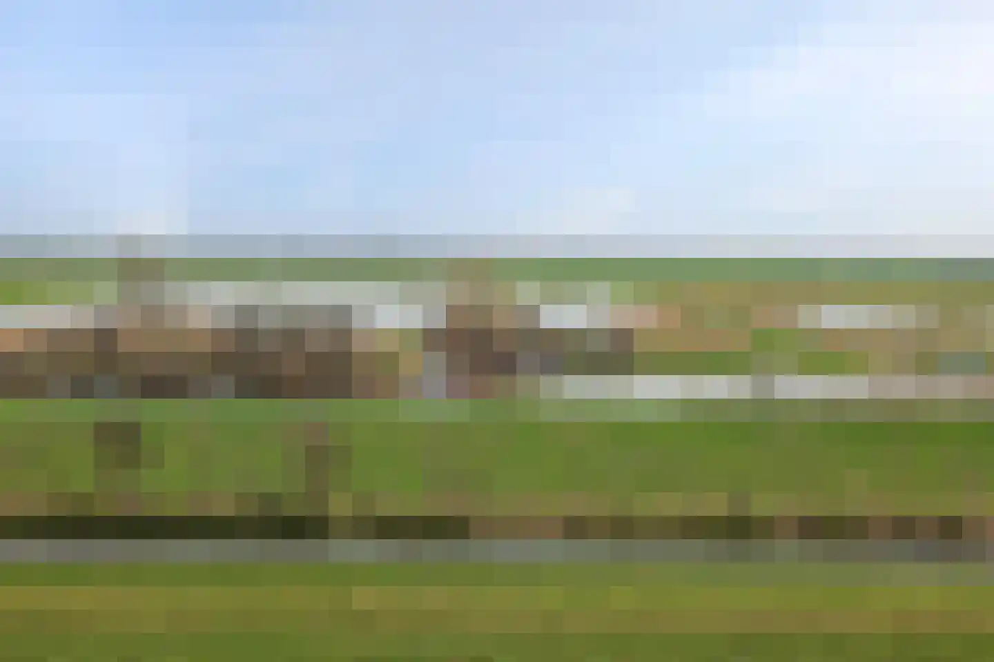 Tolick 77 Hoogland thumbnail 21