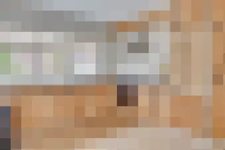 Tolick 77 Hoogland thumbnail 25