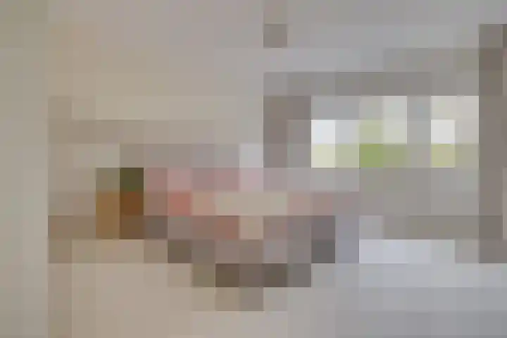 Tolick 77 Hoogland thumbnail 30
