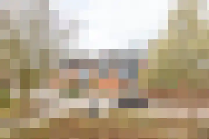 Tolick 77 Hoogland thumbnail 6