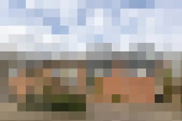 Tolick 77 Hoogland thumbnail 7