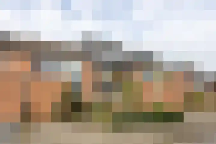 Tolick 77 Hoogland thumbnail 8