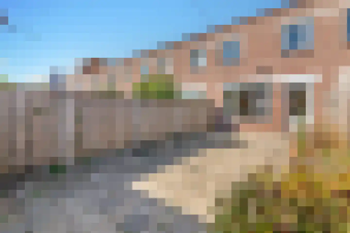 Tolkamerstraat 42 Amsterdam thumbnail 27