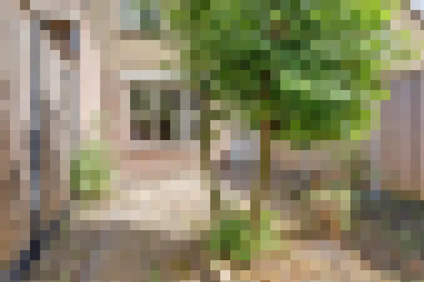Tolkamerstraat 5 Amsterdam thumbnail 31