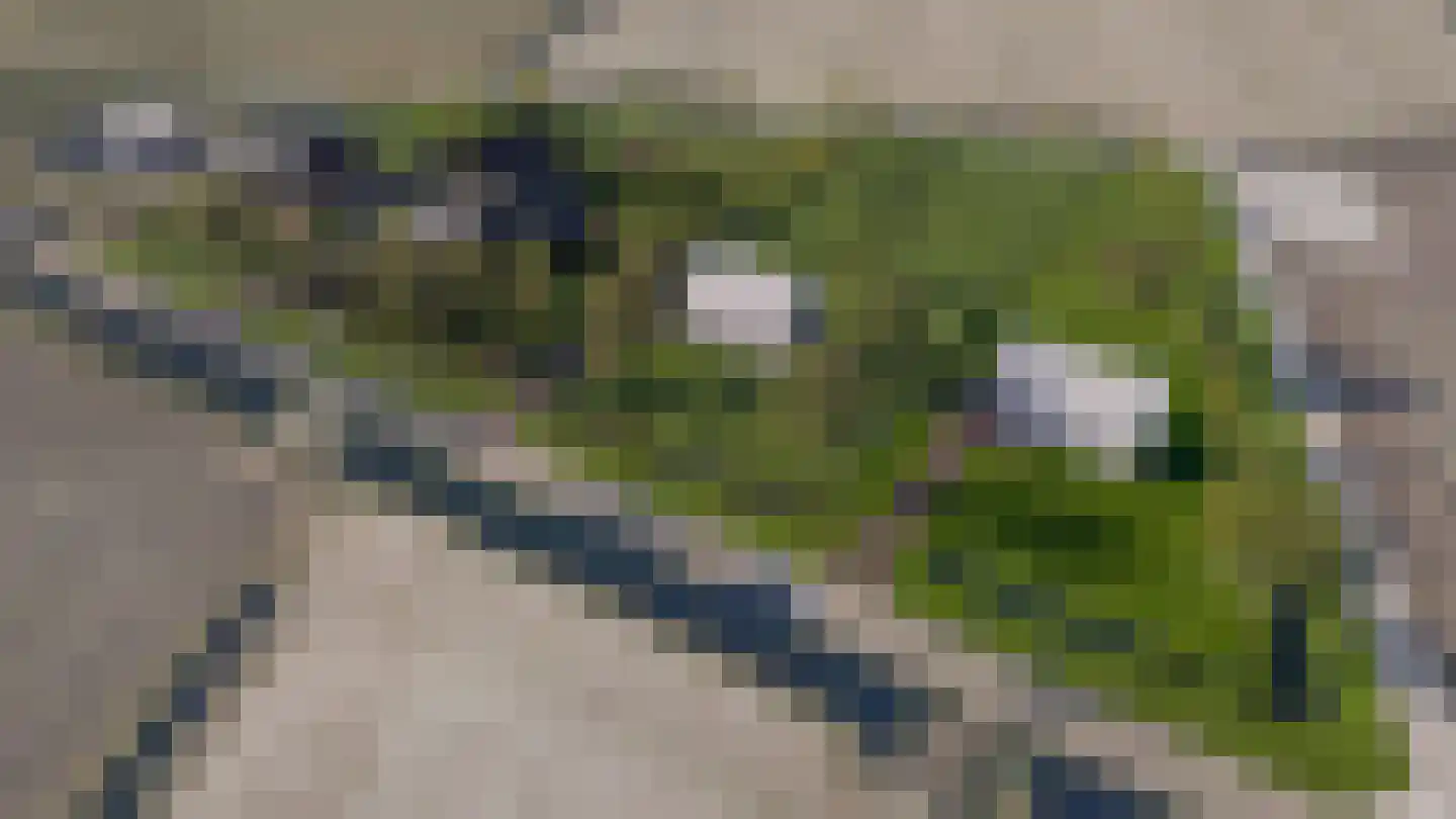 Tolkerdijk 10 Schagen thumbnail 5