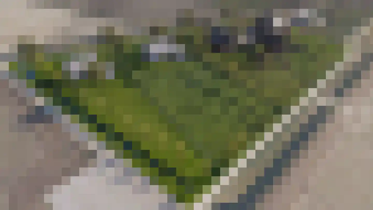 Tolkerdijk 10 Schagen thumbnail 6