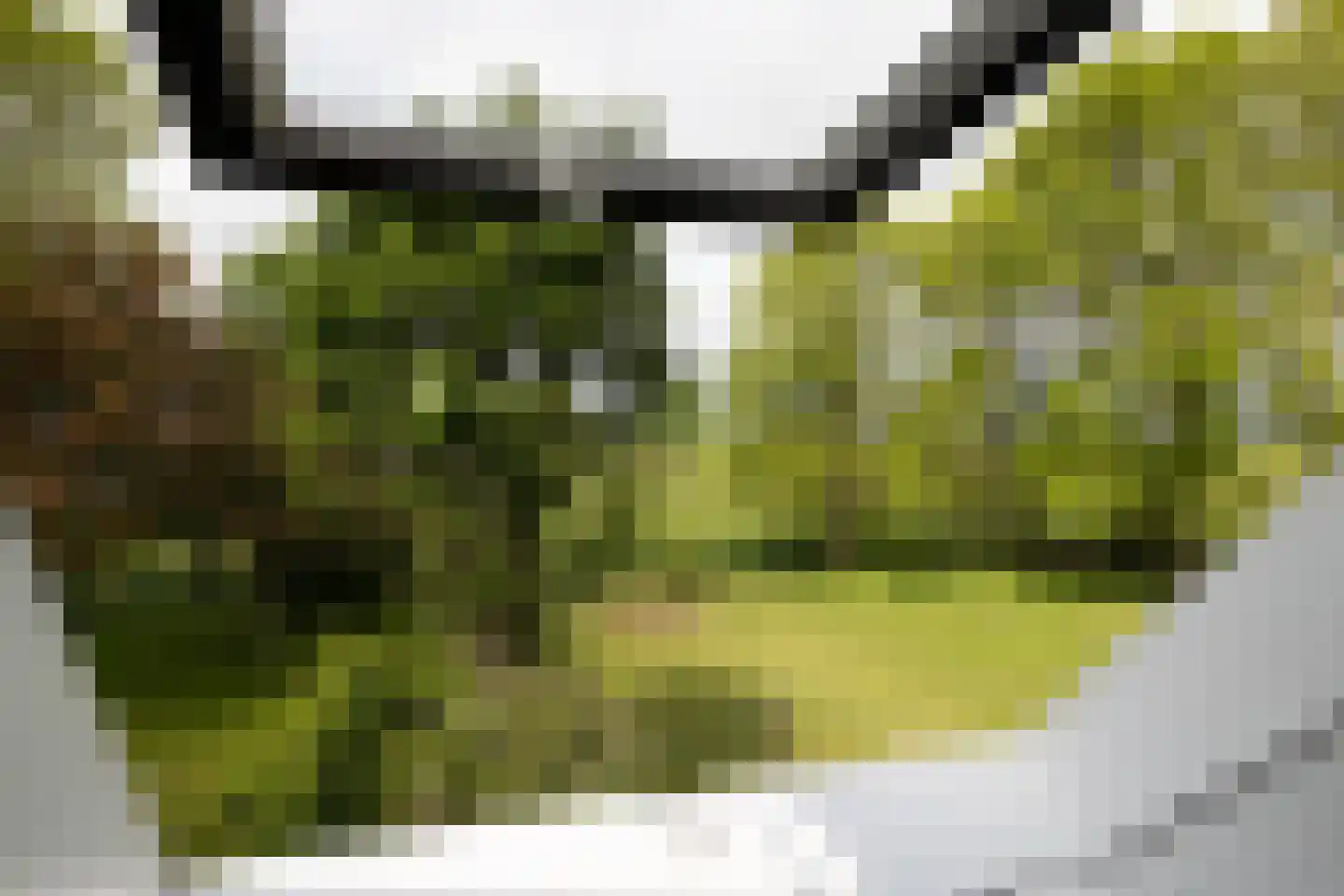 Tolkerdijk 13 Schagen thumbnail 15