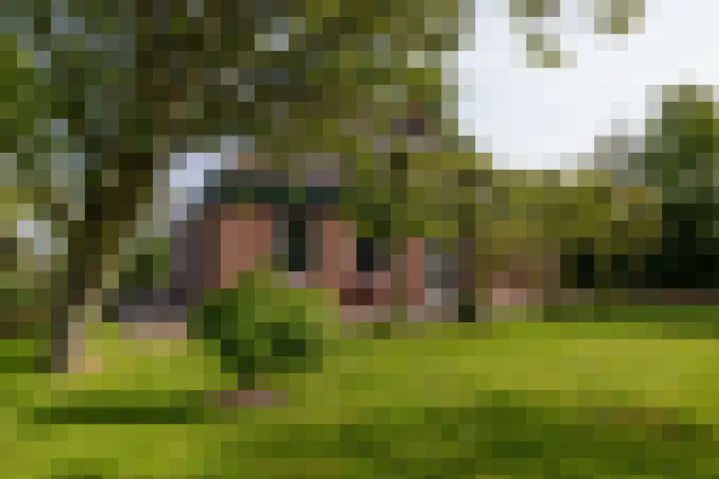 Tolkerdijk 13 Schagen thumbnail 20