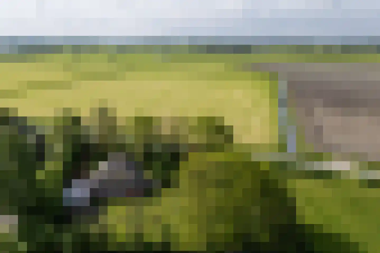 Tolkerdijk 13 Schagen thumbnail 26