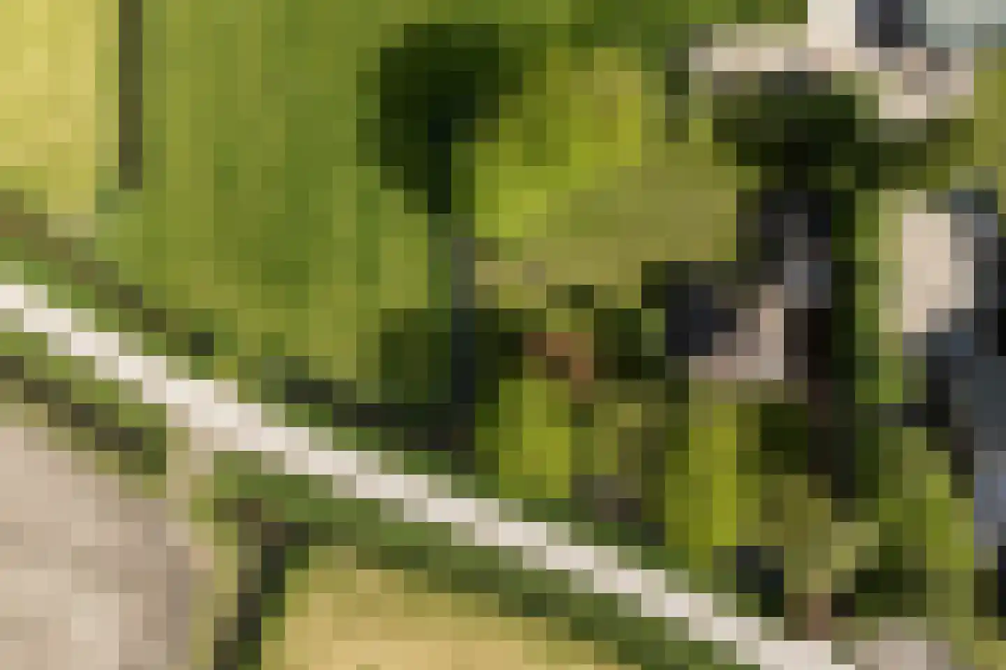 Tolkerdijk 13 Schagen thumbnail 27