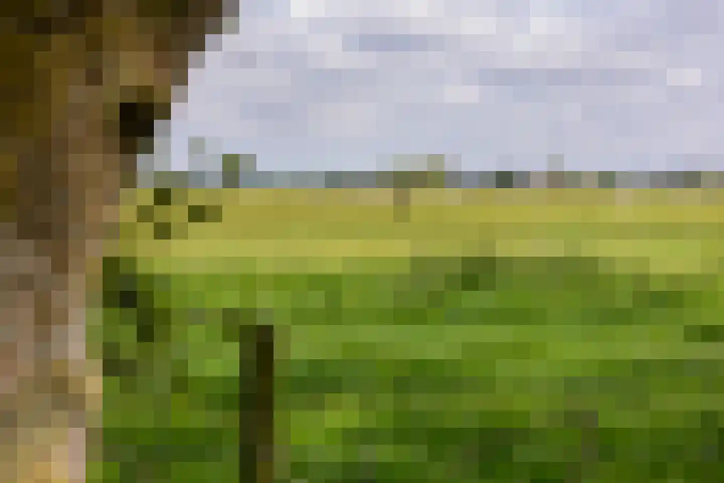 Tolkerdijk 13 Schagen thumbnail 28