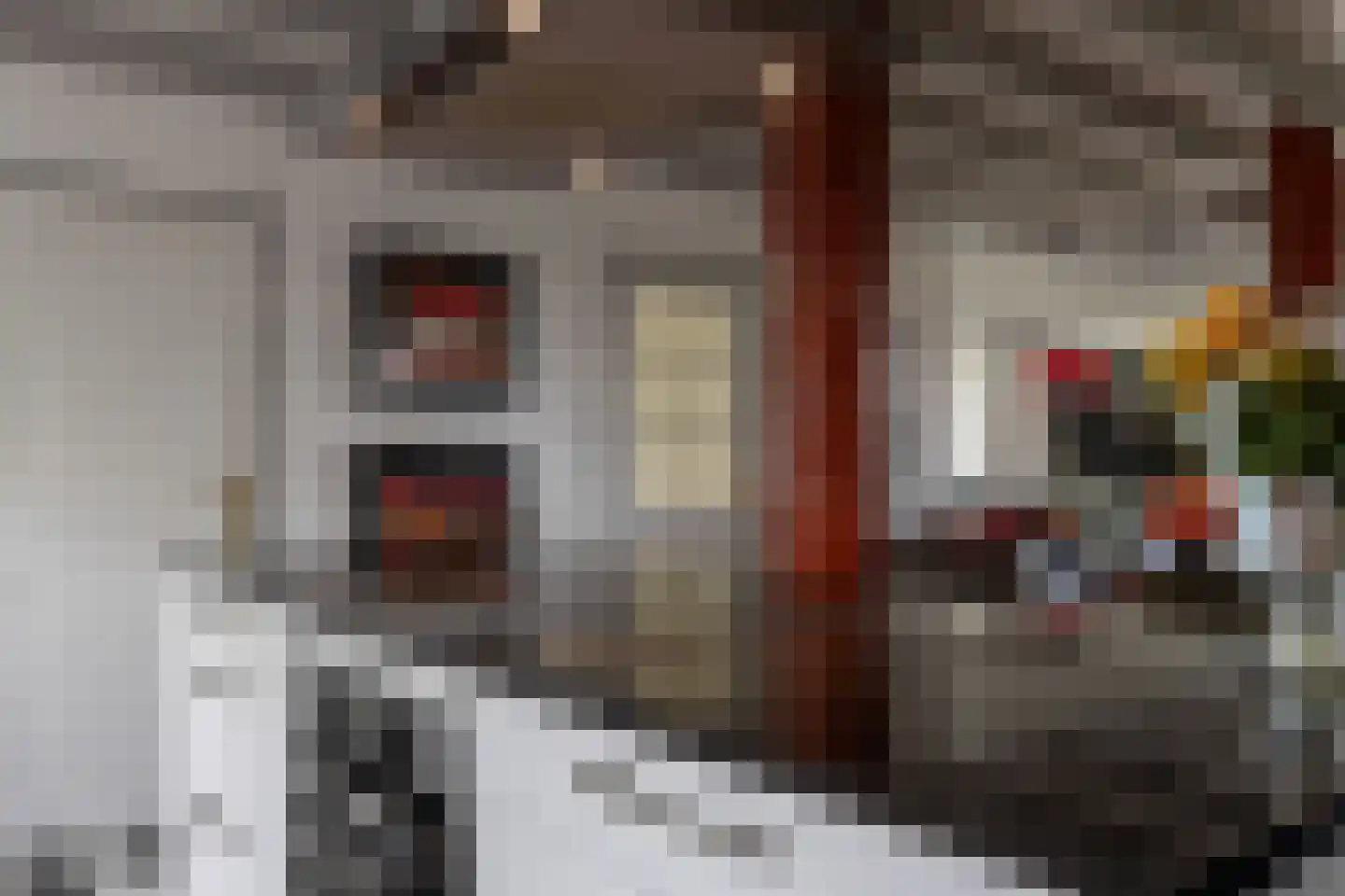 Tolkerdijk 13 Schagen thumbnail 9