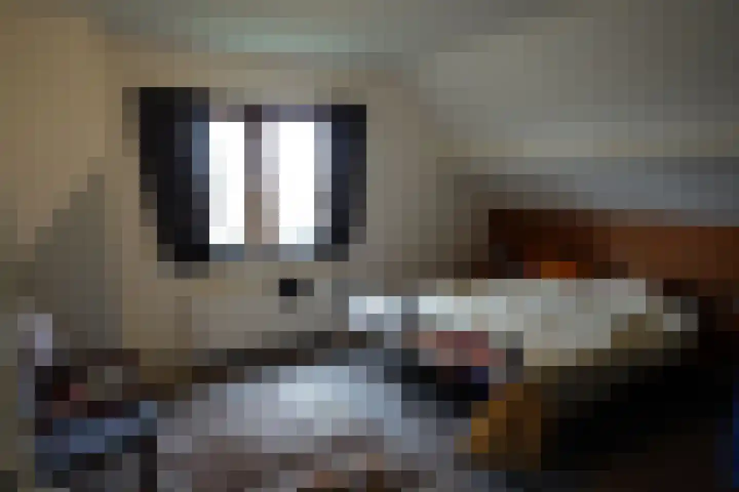 Tolkerdijk 8 Schagen thumbnail 14