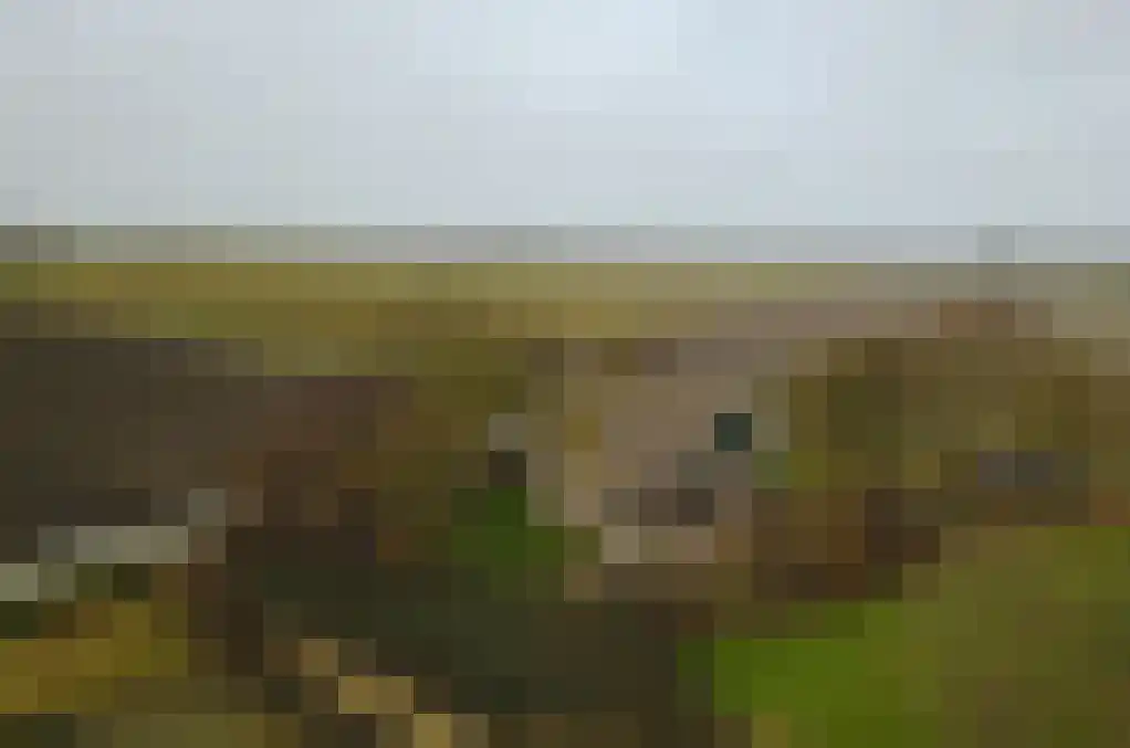 Tolkerdijk 8 Schagen thumbnail 22