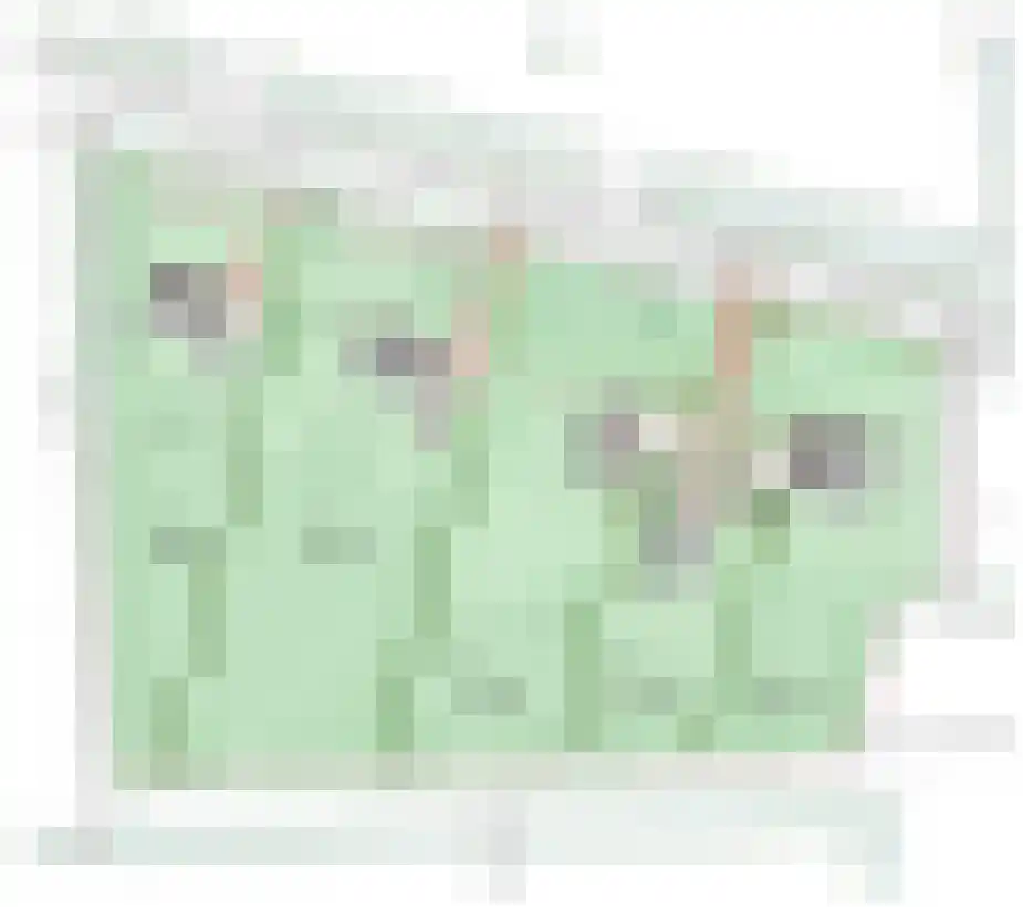 Tolkerdijk 8 Schagen thumbnail 5
