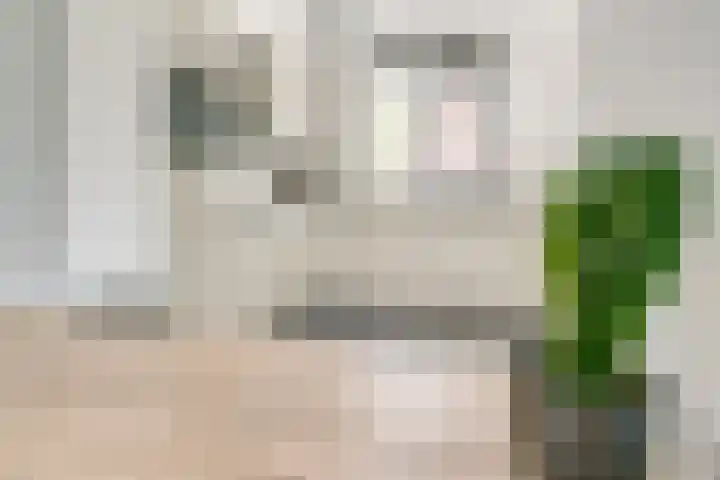Tollaan 4 Zevenaar thumbnail 12