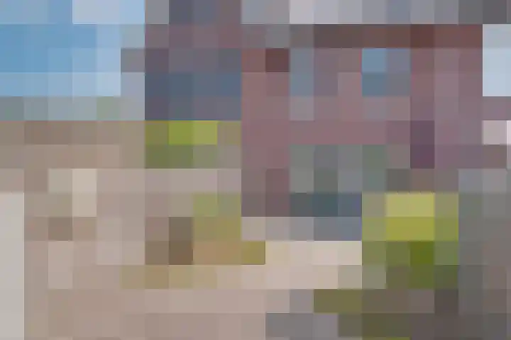 Tollaan 4 Zevenaar thumbnail 17