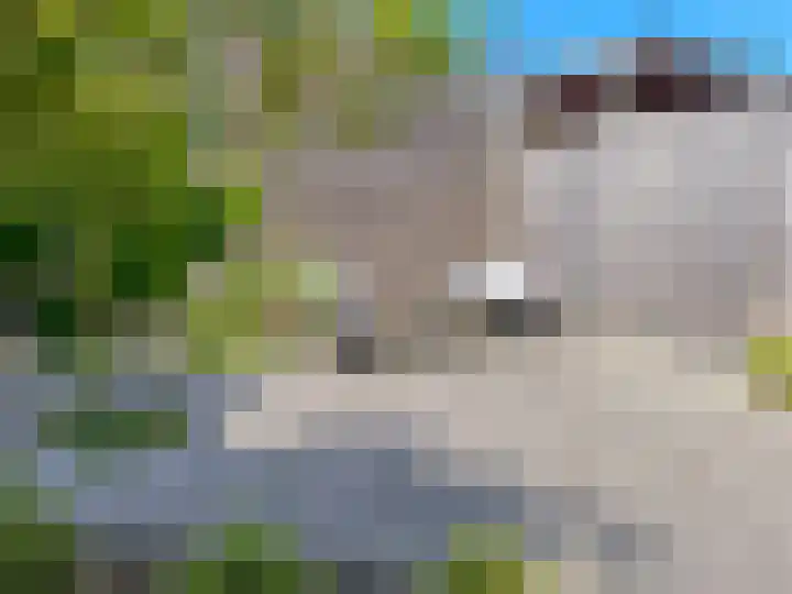 Tollaan 4 Zevenaar thumbnail 19