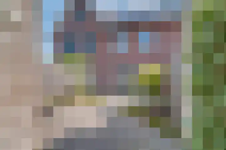 Tollaan 4 Zevenaar foto 2
