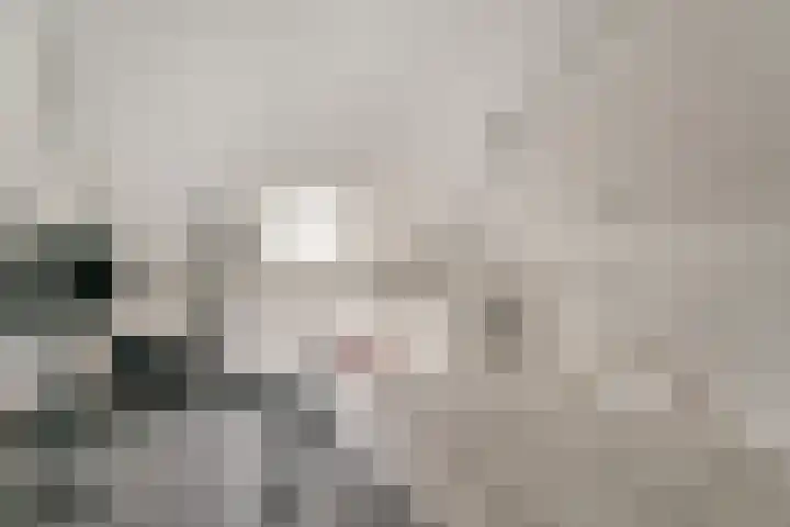 Tollaan 4 Zevenaar thumbnail 33