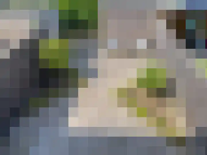Tollaan 4 Zevenaar thumbnail 37