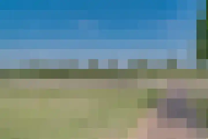 Tollaan 4 Zevenaar thumbnail 5