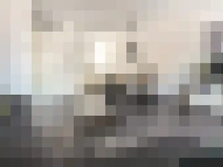 Tollaan 4 Zevenaar thumbnail 7
