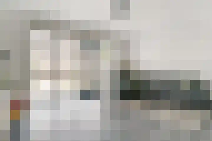 Tollaan 4 Zevenaar thumbnail 8