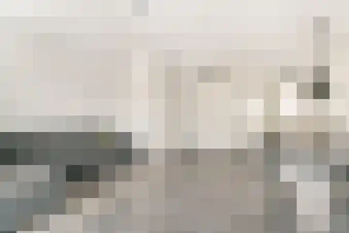 Tollaan 4 Zevenaar thumbnail 9
