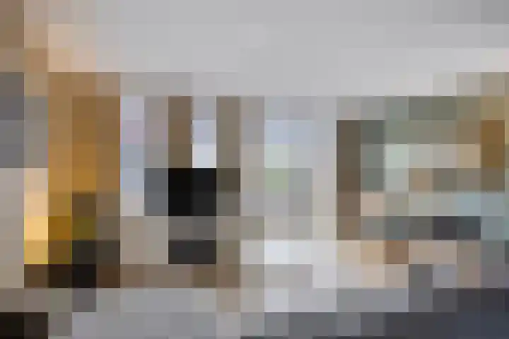 Tollekamp 53 Elst thumbnail 11