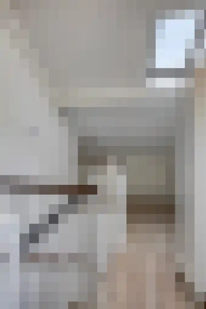 Tollekamp 53 Elst thumbnail 28