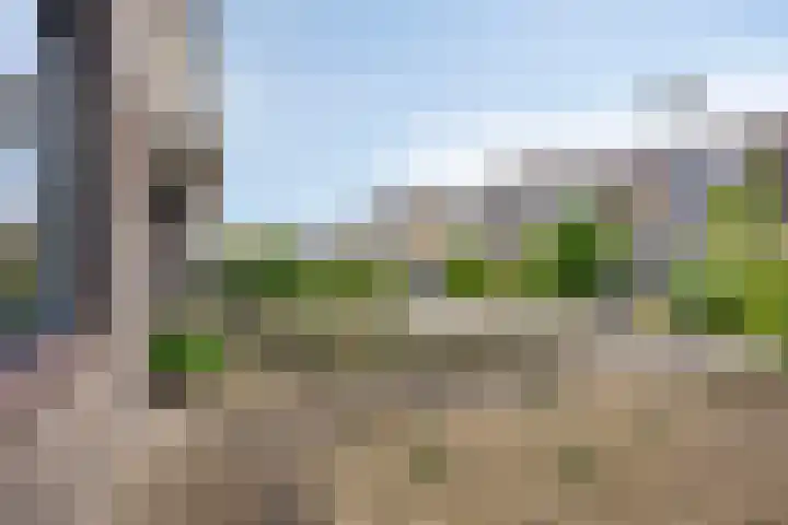 Tollekamp 53 Elst thumbnail 37