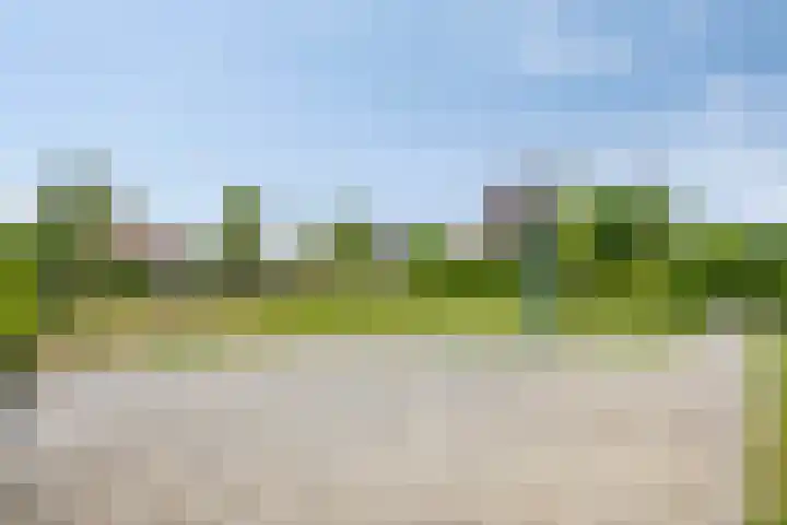 Tollekamp 53 Elst thumbnail 38