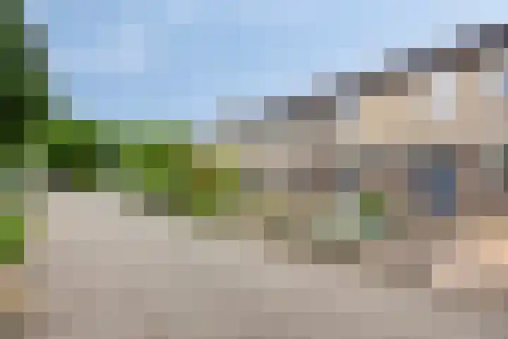 Tollekamp 53 Elst thumbnail 4