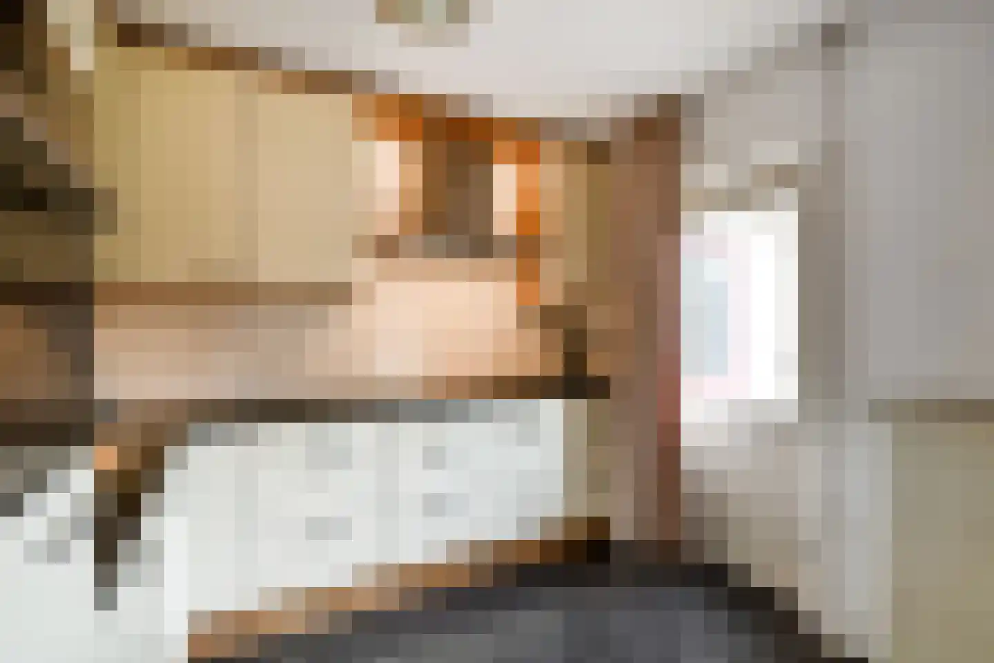 Tollekamp 71 Elst thumbnail 14