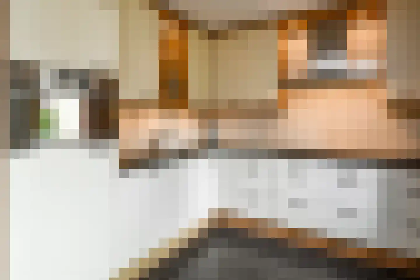 Tollekamp 71 Elst thumbnail 14
