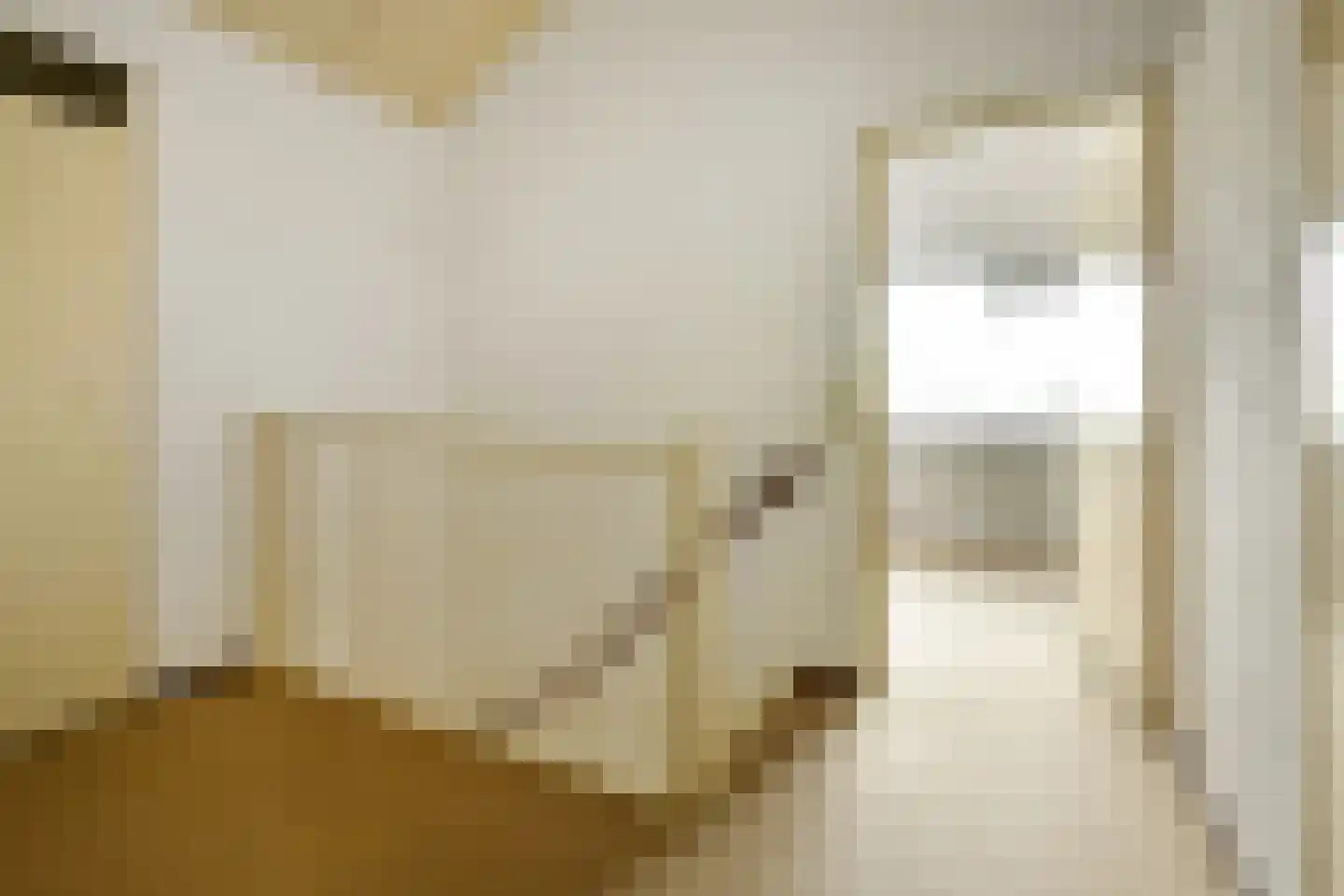 Tollekamp 71 Elst thumbnail 18