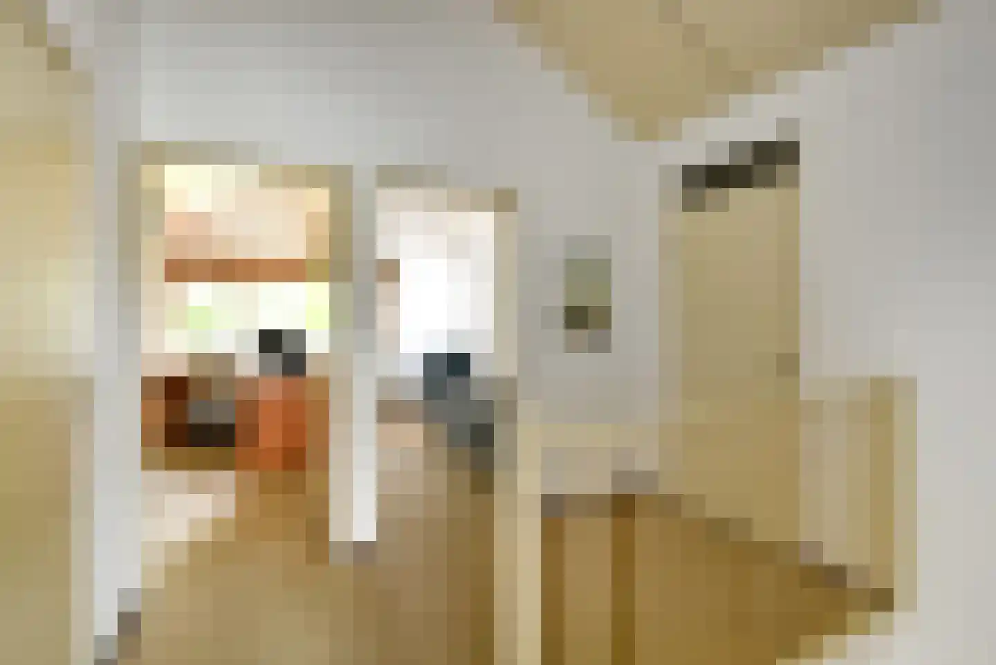 Tollekamp 71 Elst thumbnail 19