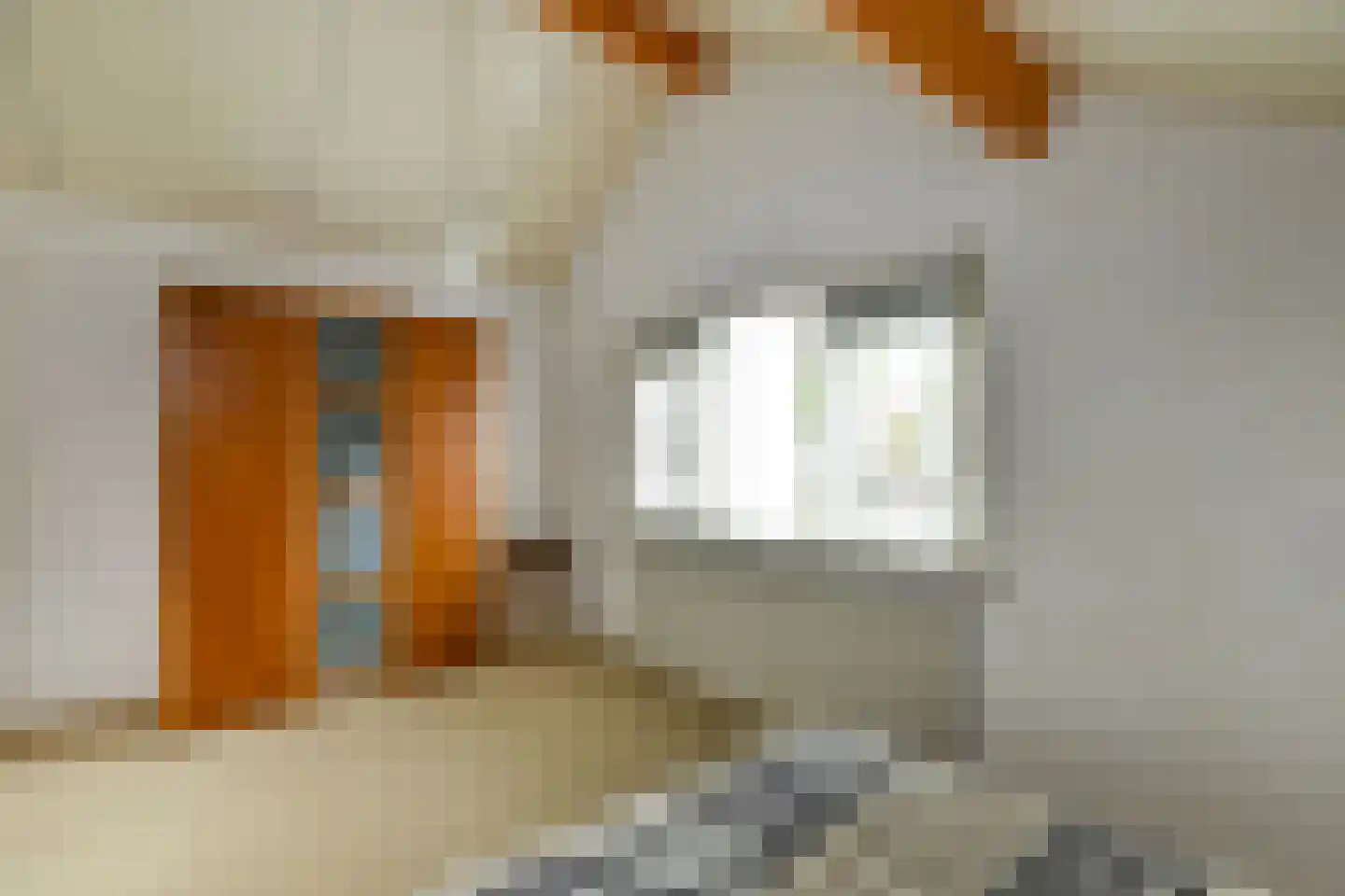 Tollekamp 71 Elst thumbnail 21