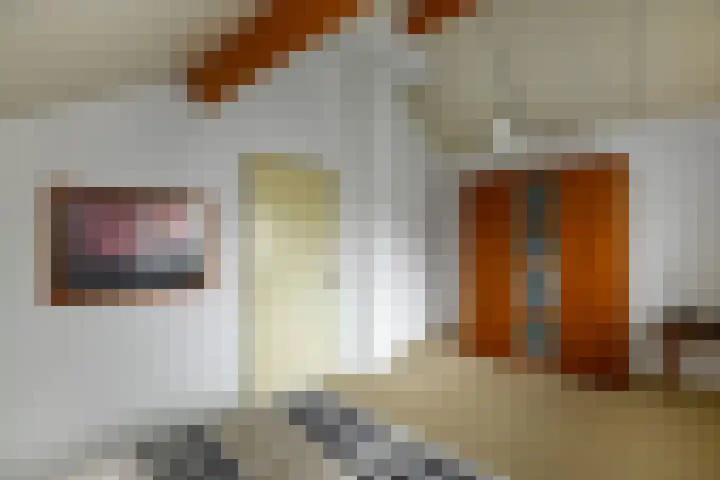 Tollekamp 71 Elst thumbnail 22
