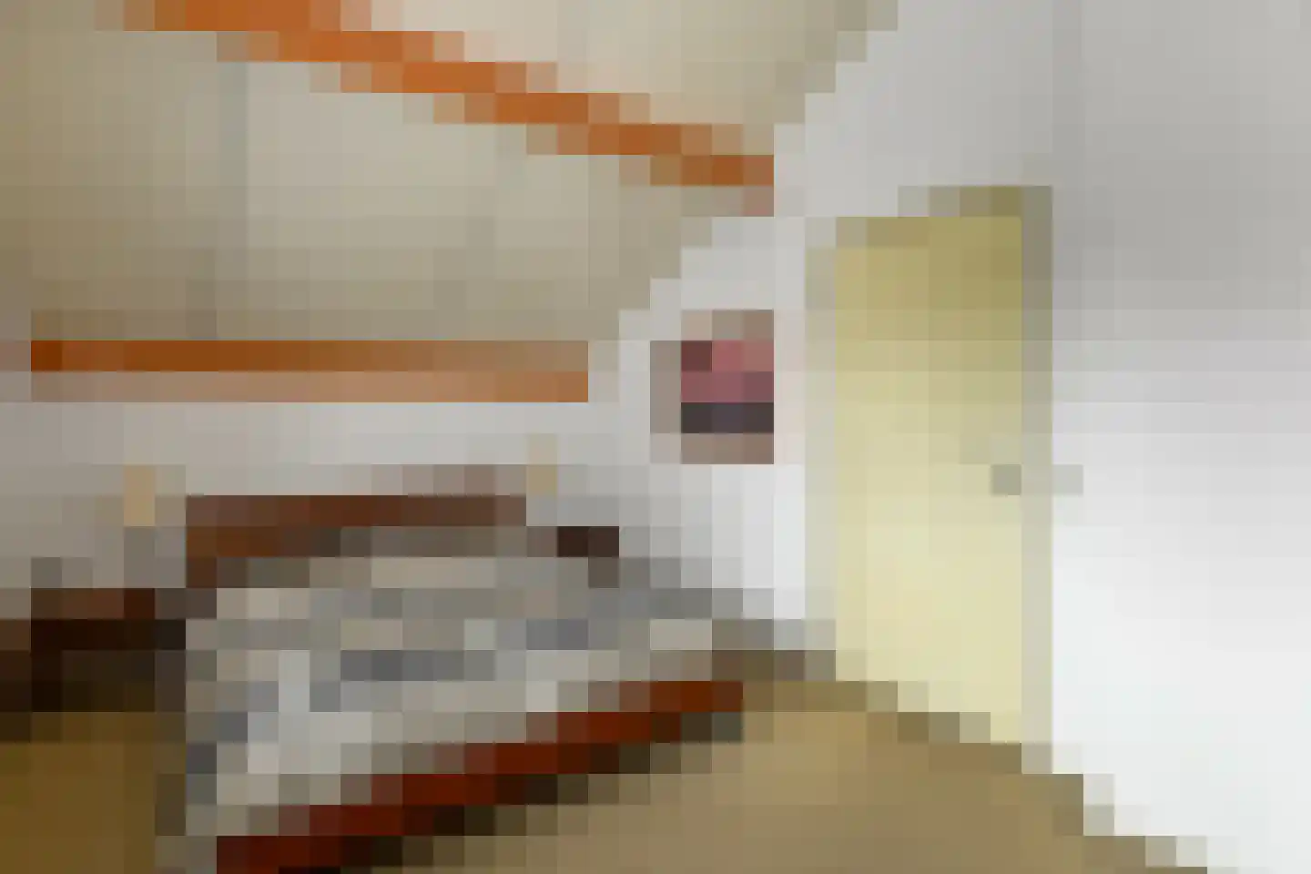 Tollekamp 71 Elst thumbnail 23