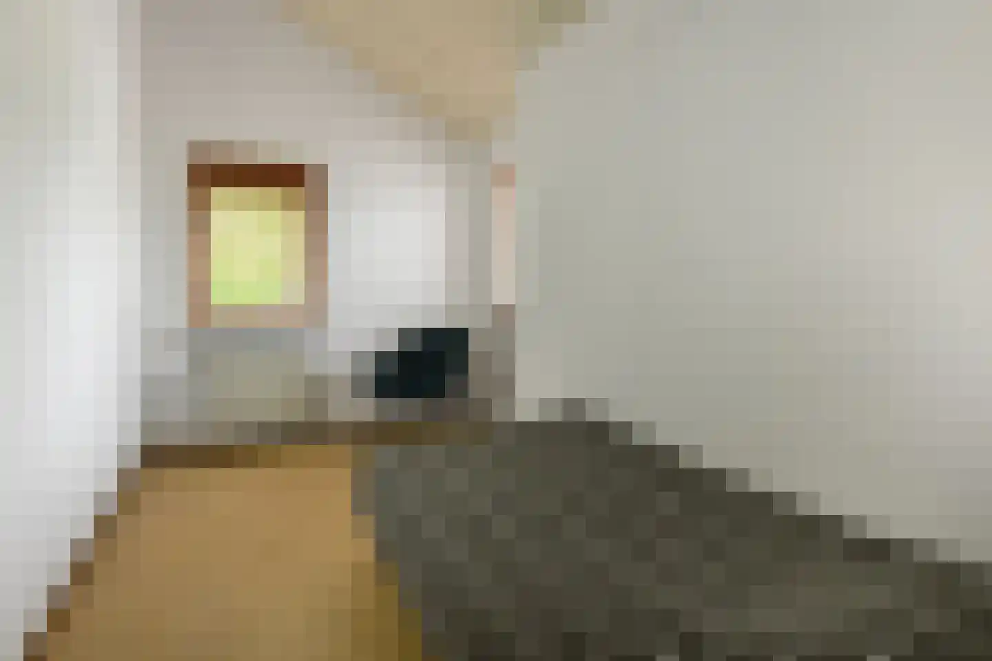 Tollekamp 71 Elst thumbnail 26
