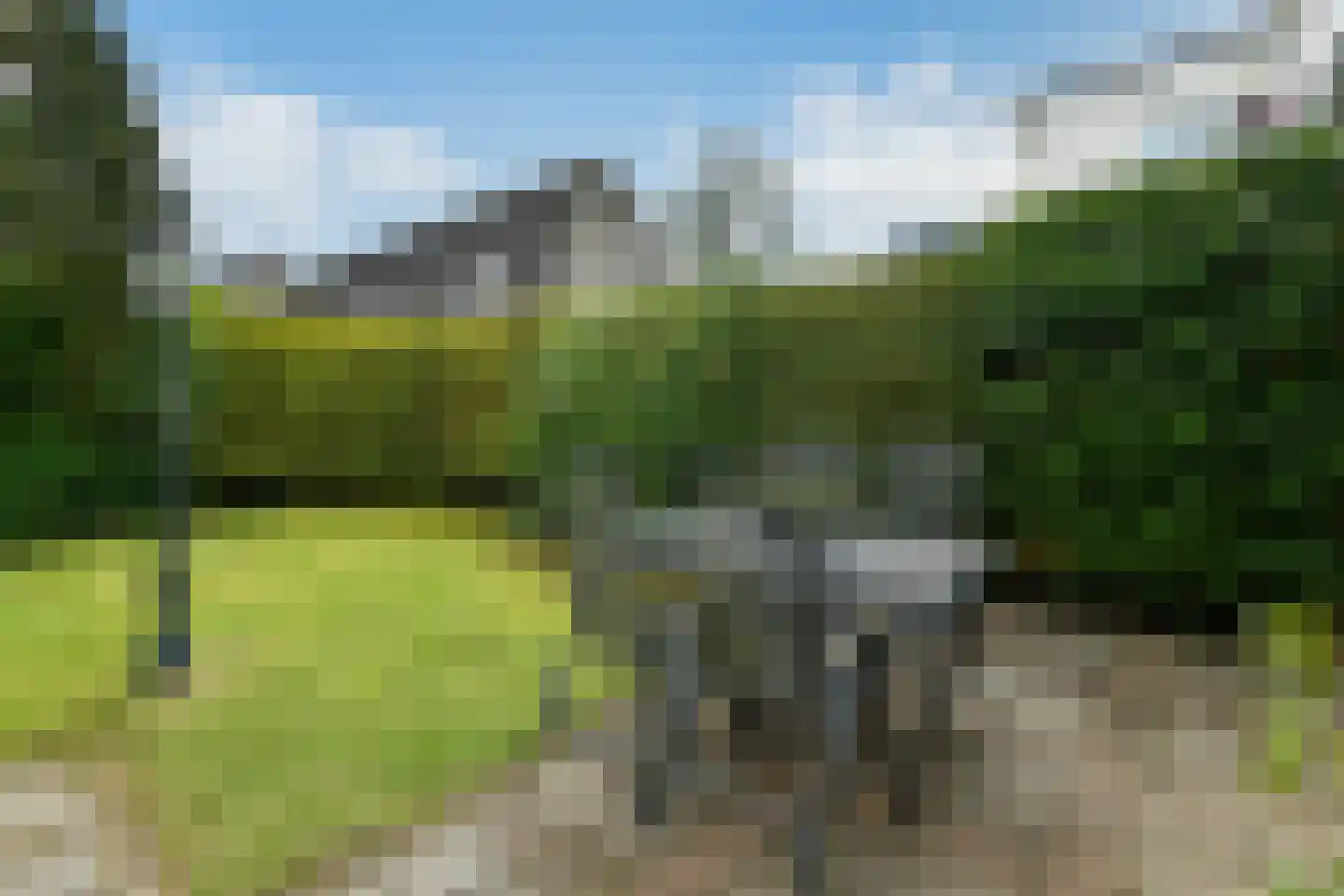 Tollekamp 71 Elst thumbnail 29