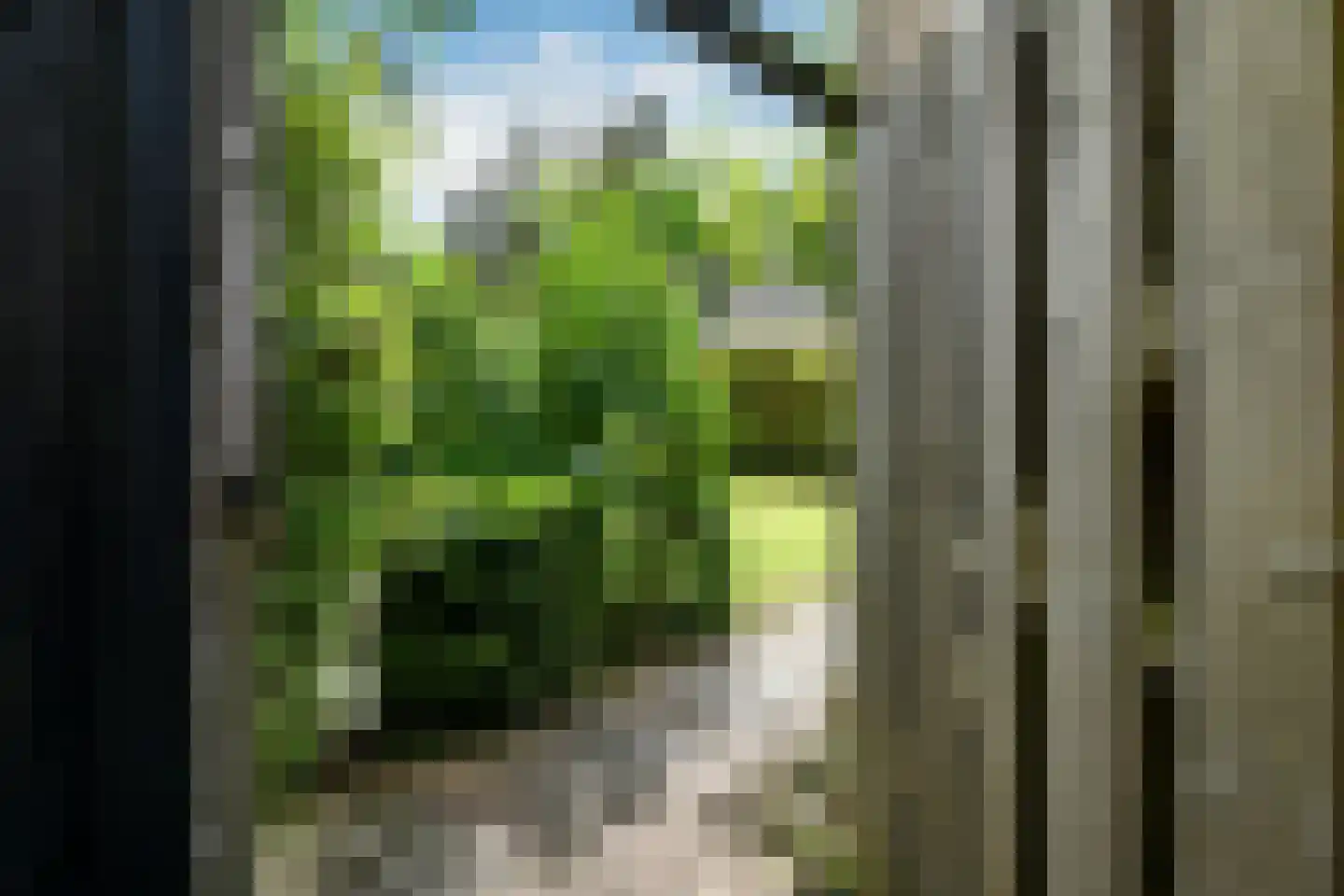 Tollekamp 71 Elst thumbnail 35