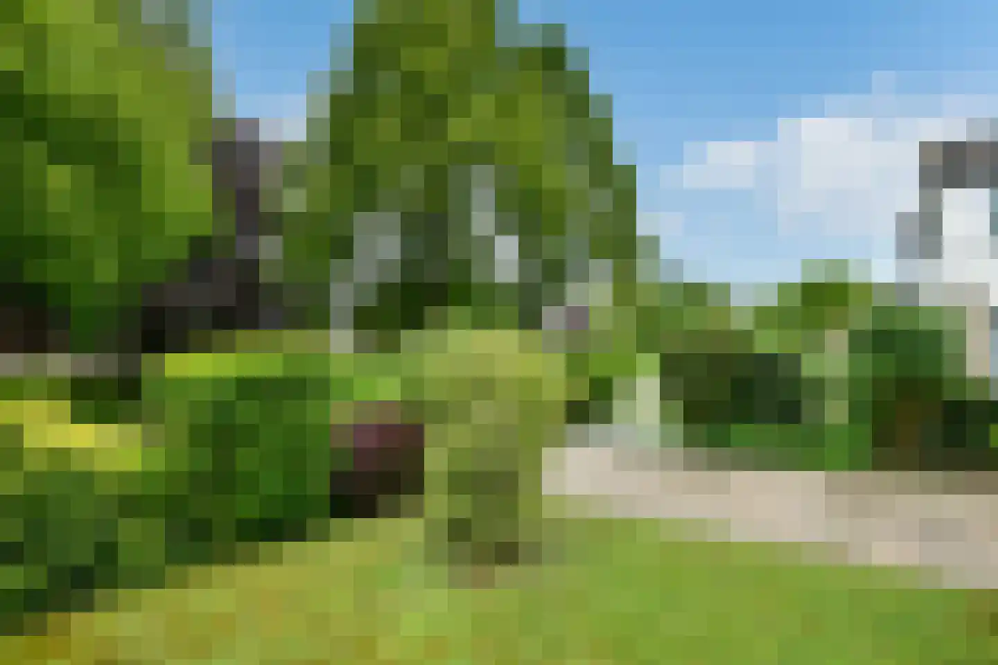 Tollekamp 71 Elst thumbnail 39