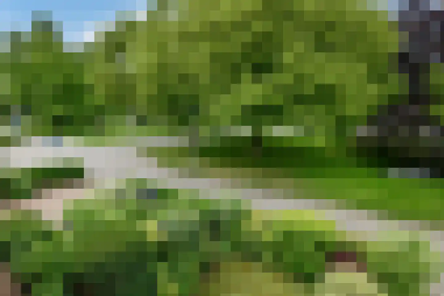 Tollekamp 71 Elst thumbnail 40